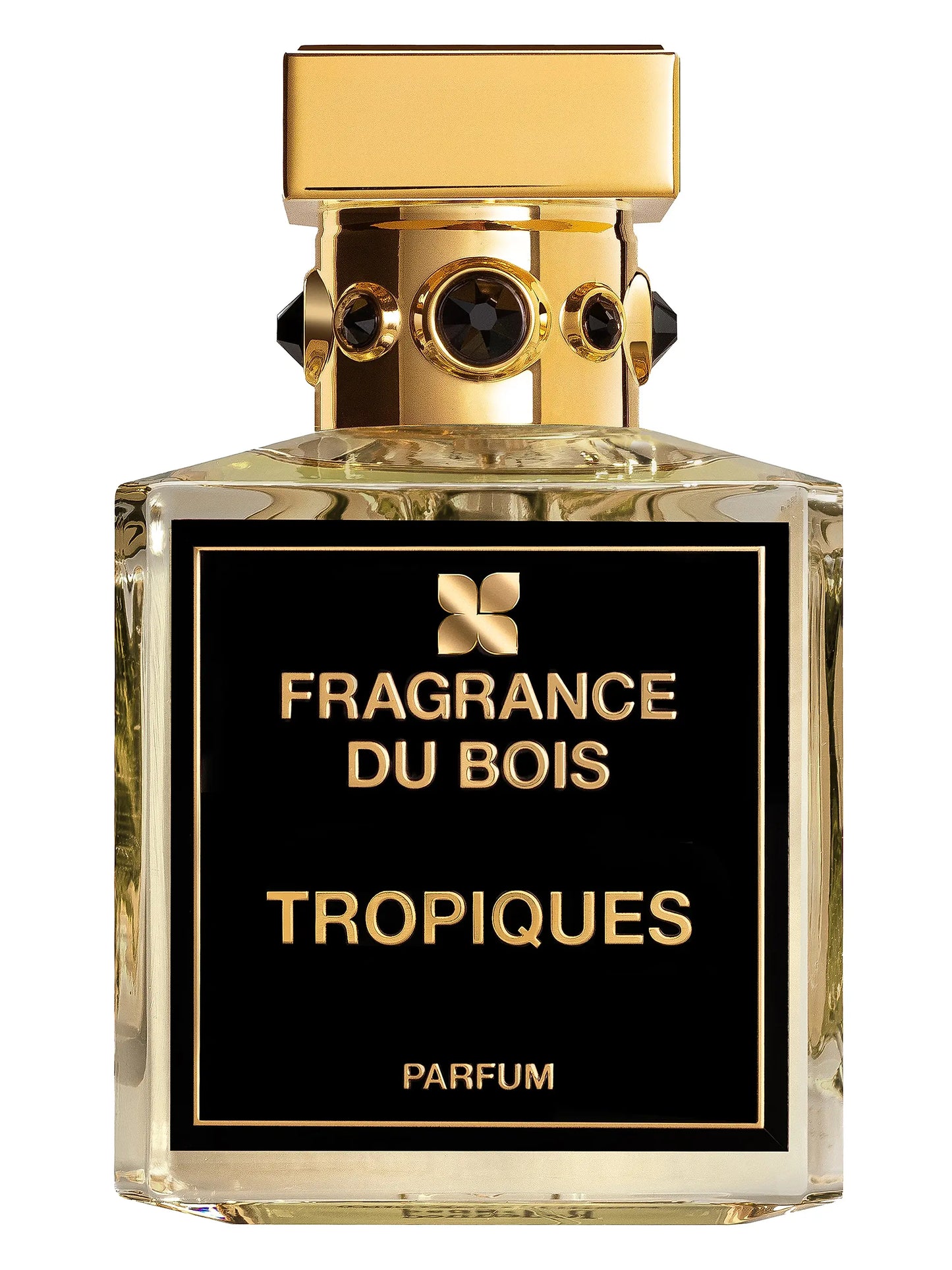 Tropiques (EDP)