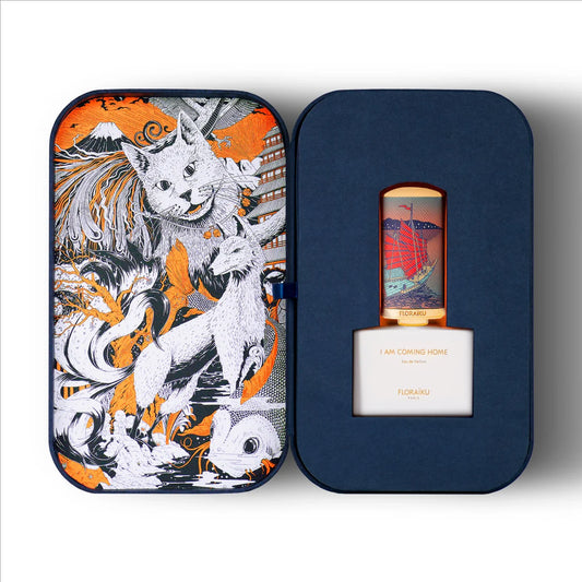 I Am Coming Home (EDP)